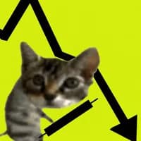 $HTTL — a kitten in front of a crashing chart
