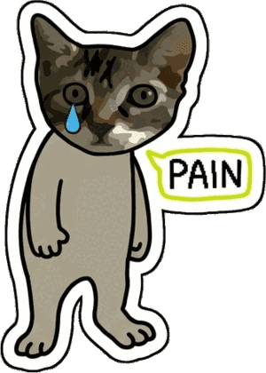 Cat with a single tear and a PAIN bubble